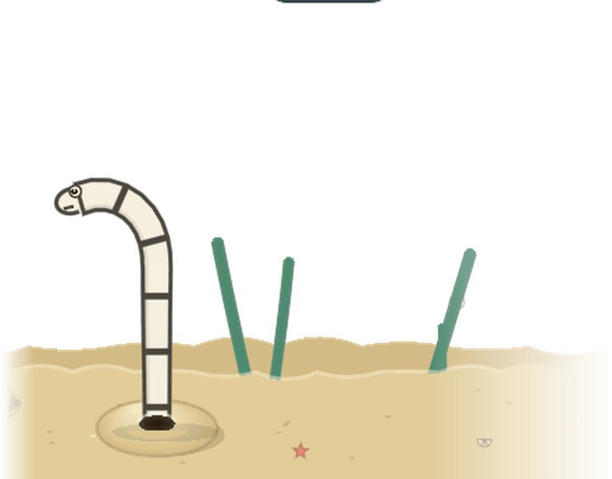 모래밭 구멍에서 몸을 내민 정원장어 한 마리 — Garden Eel Cove 앱 화면